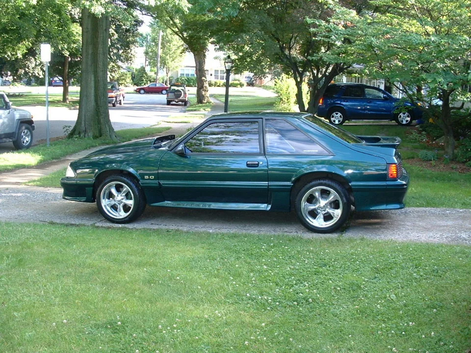 stang4.webp