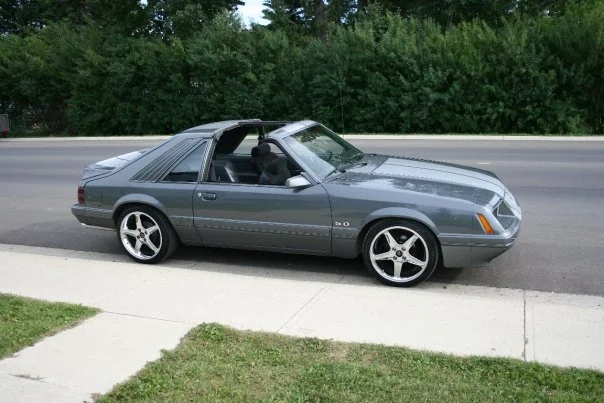 stang4.webp