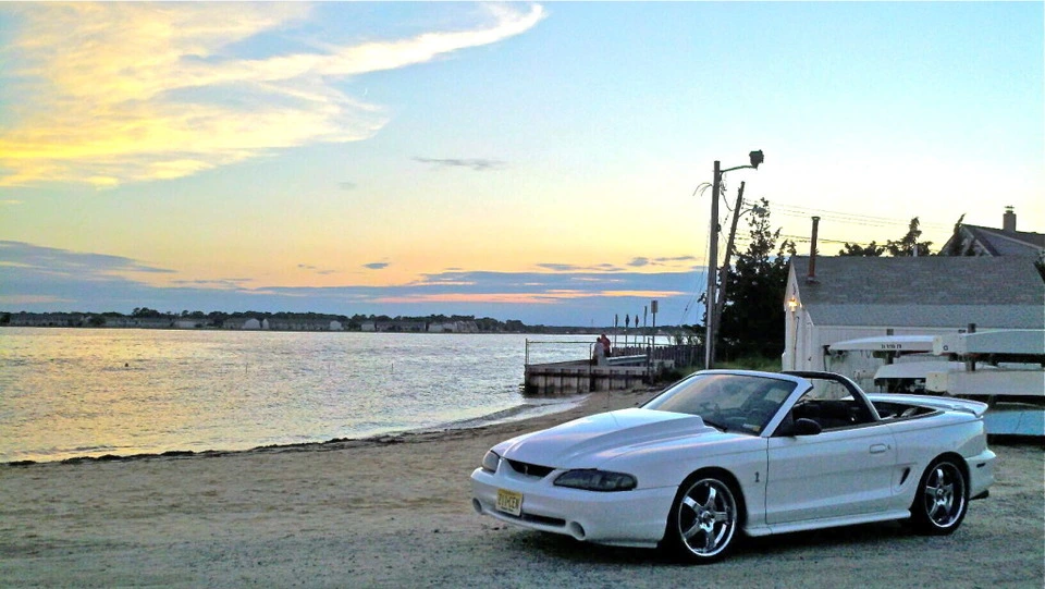 stang4.webp