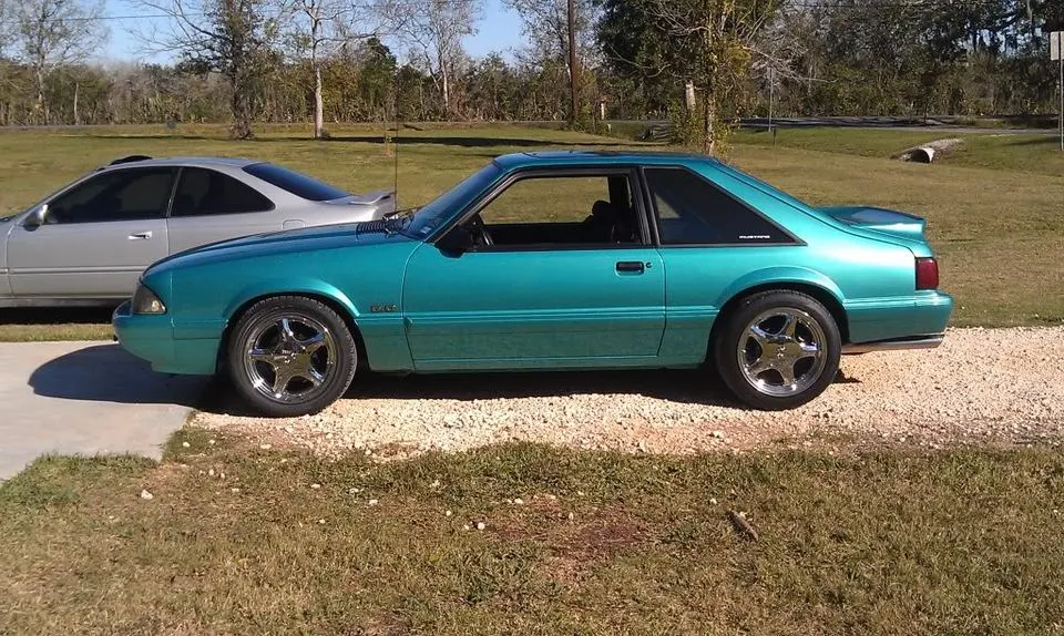 stang4.webp