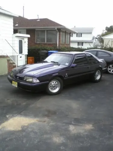 stang4.webp