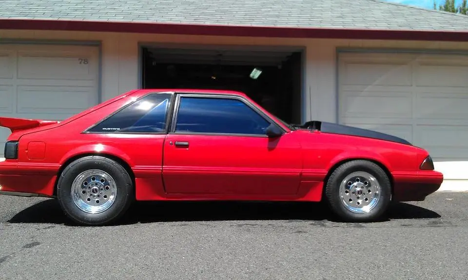 stang4.webp
