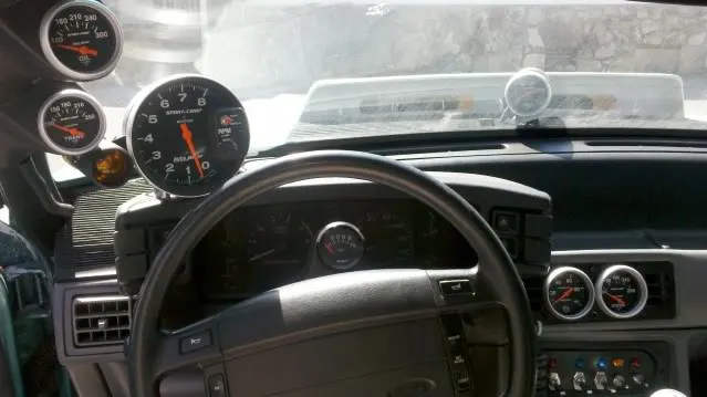 stang4.webp