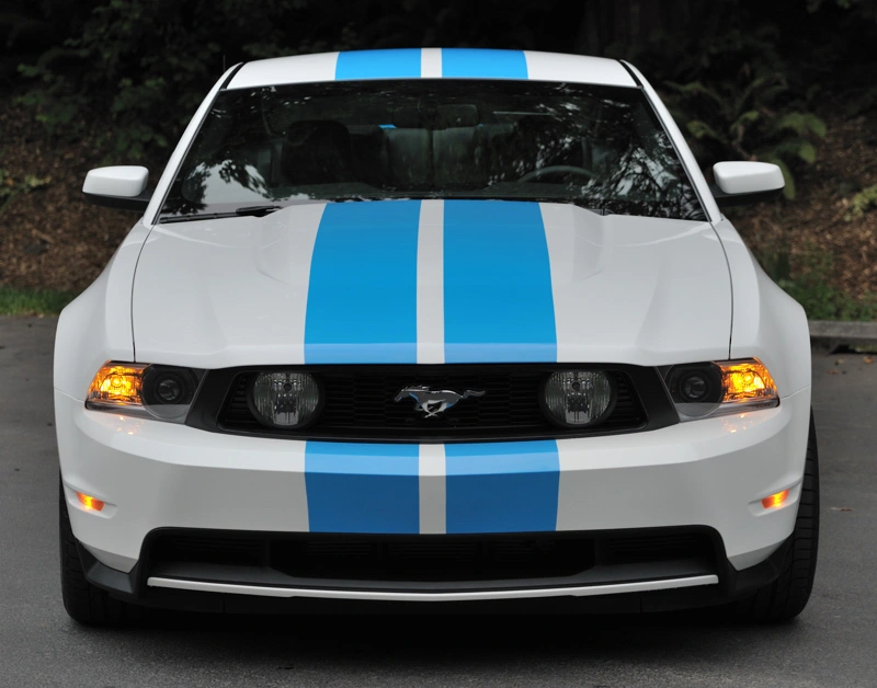 stang4.webp