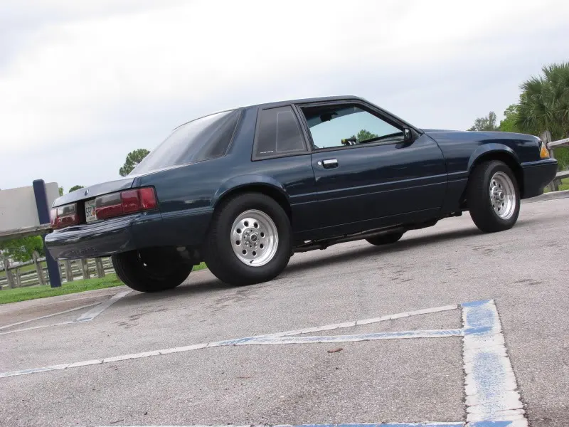 stang4.webp
