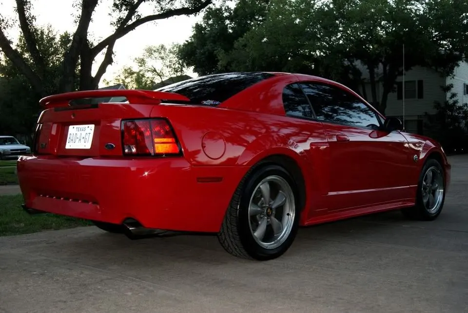 stang4.webp
