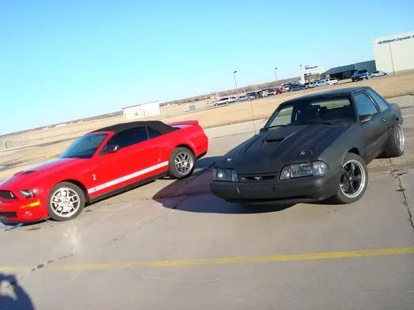 stang4.webp