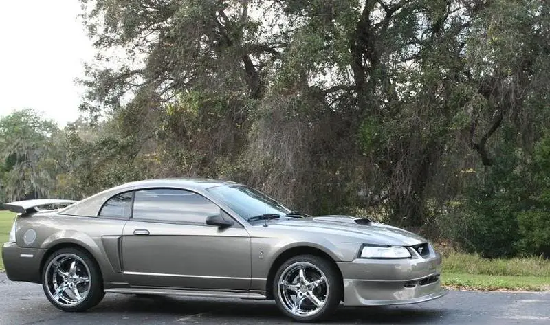 stang4.webp