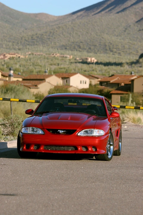 stang4.webp