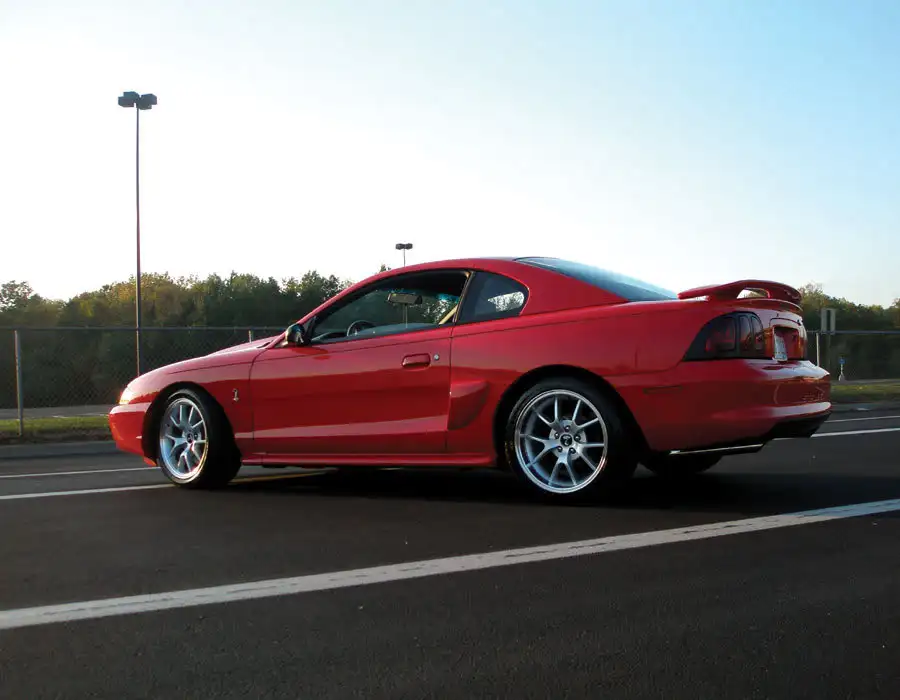 stang4.webp