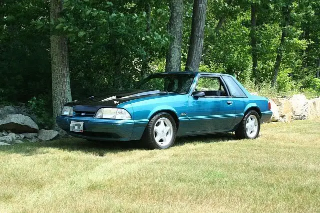 stang4.webp