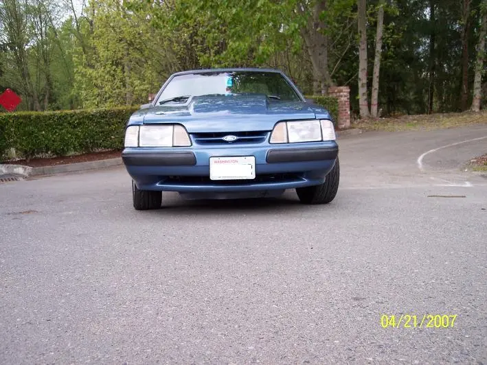 stang4.webp