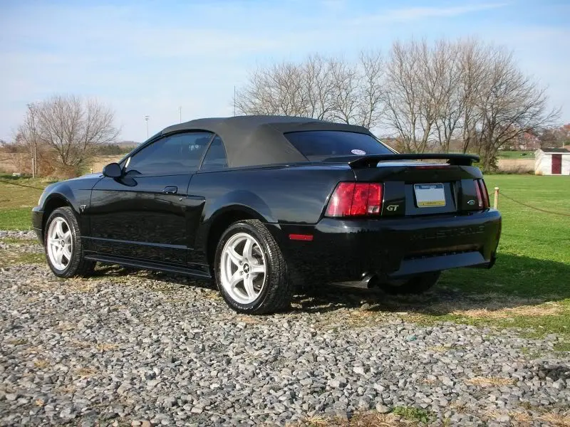 stang4.webp