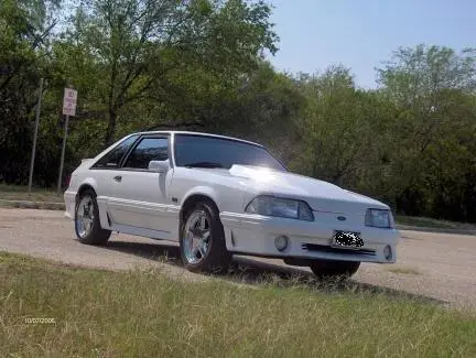 stang4.webp