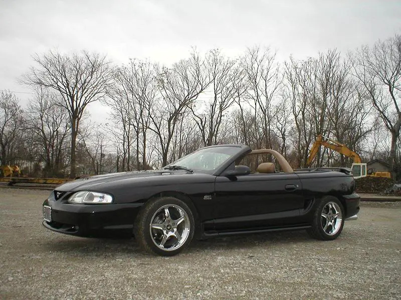 stang4.webp