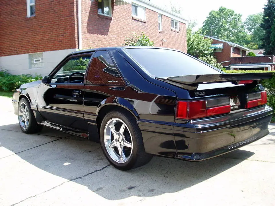 stang4.webp