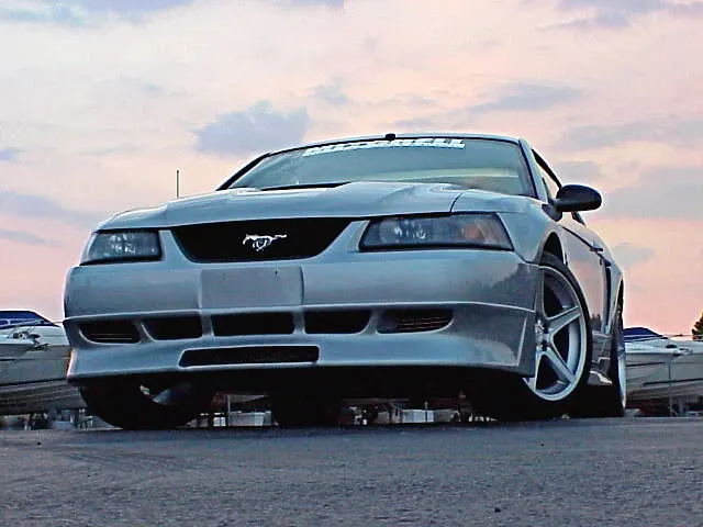 Stang4.webp