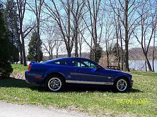 stang4.webp