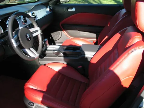 stang4.webp