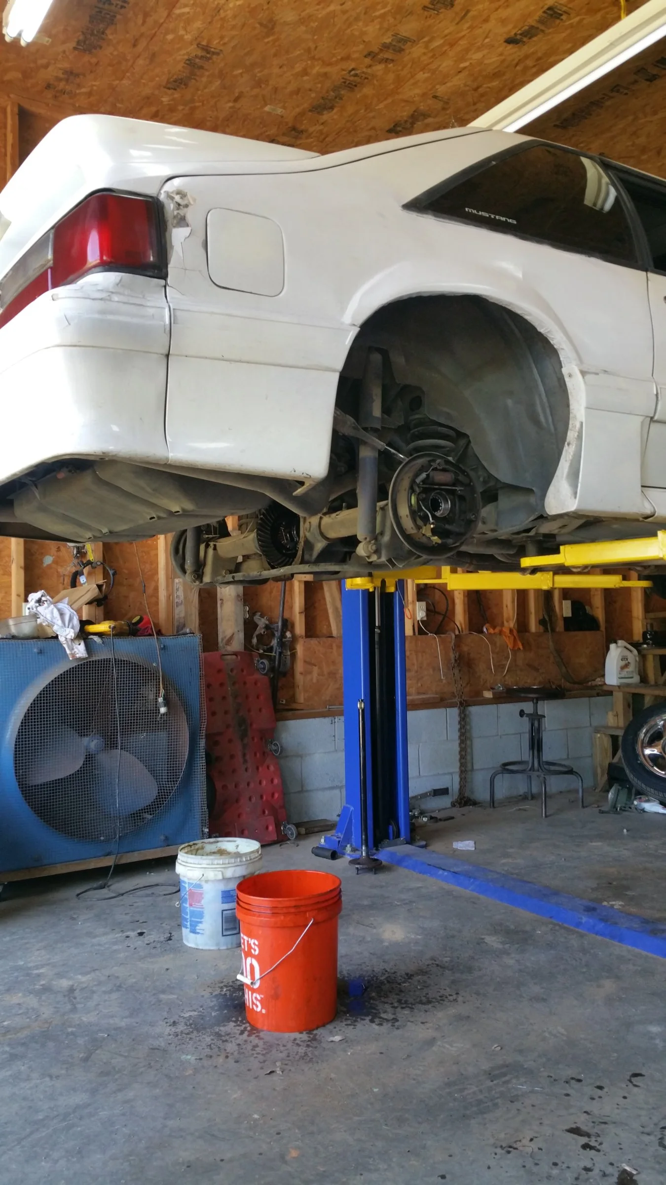 stang4.webp