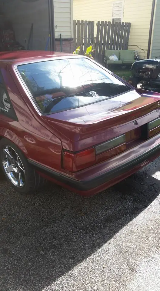 stang4.webp