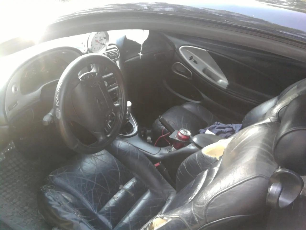 stang4.webp