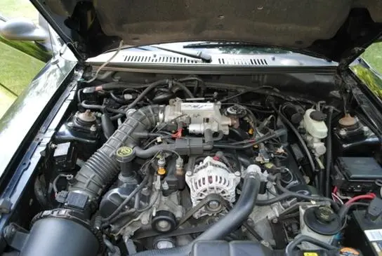stang4.webp