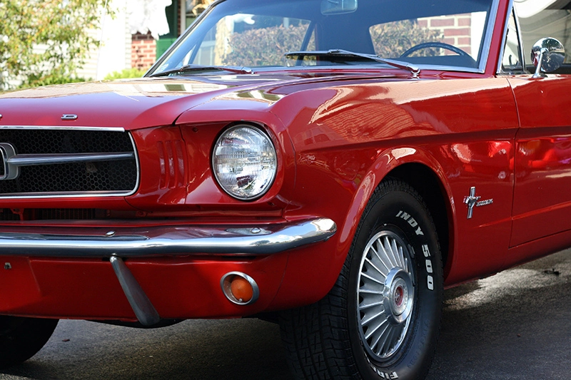 Stang4_800.webp