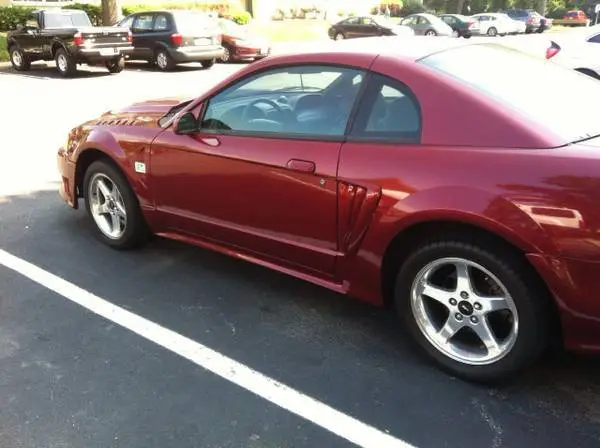 Stang4_zps2tnzum5y.webp