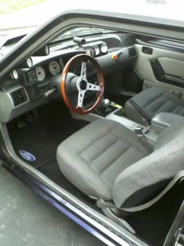 stang5.webp