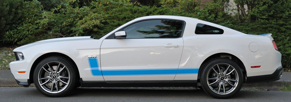 stang5.webp