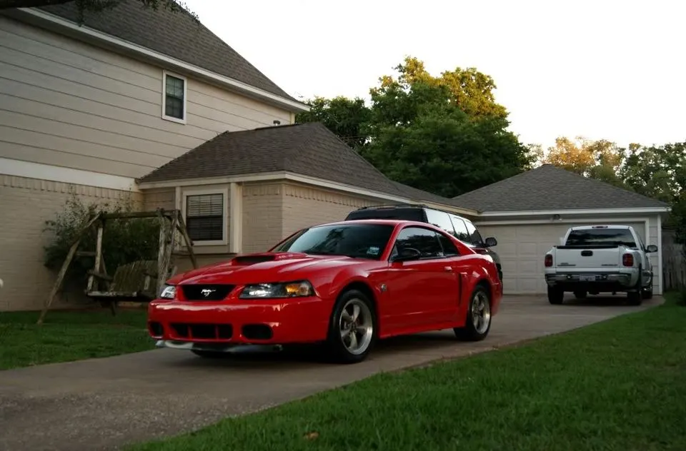 stang5.webp