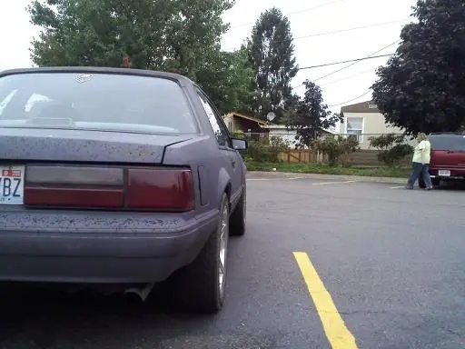 stang5.webp