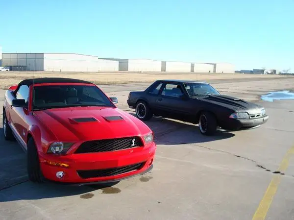 stang5.webp