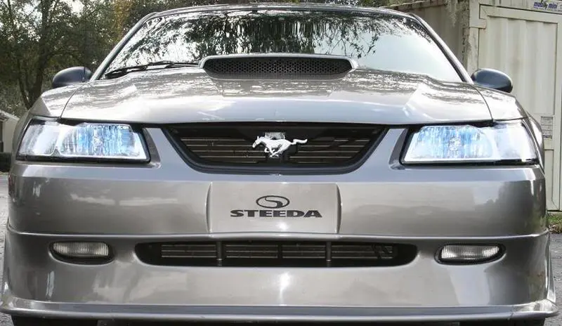 stang5.webp