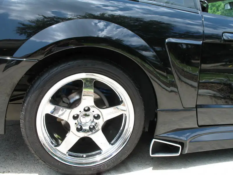 Stang5.webp