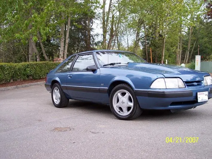 stang5.webp