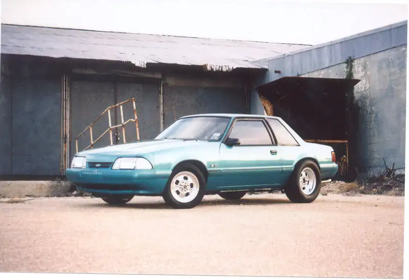 stang5.webp