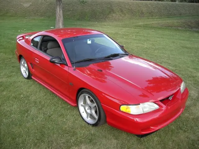 stang5.webp