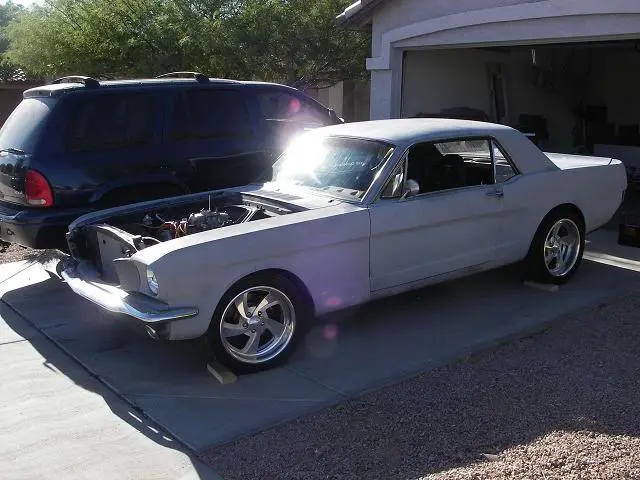 stang5.webp