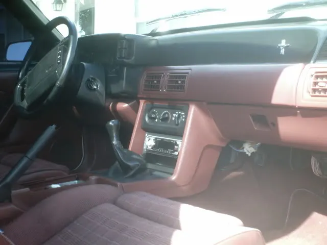 stang5.webp