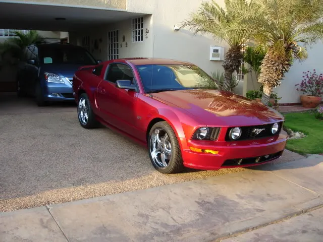 stang5.webp