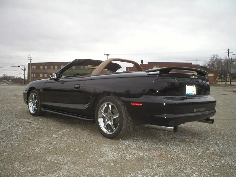 stang5.webp