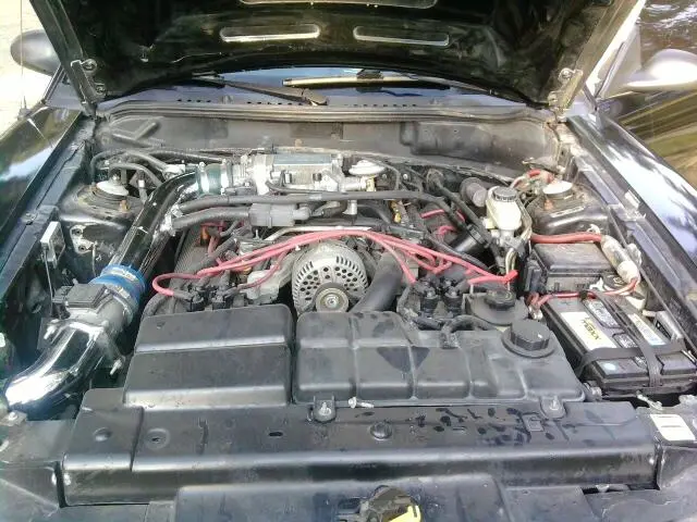 stang5.webp