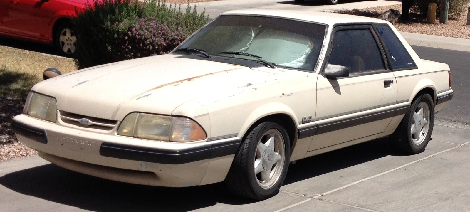 stang5.webp