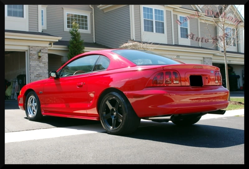Stang6.webp