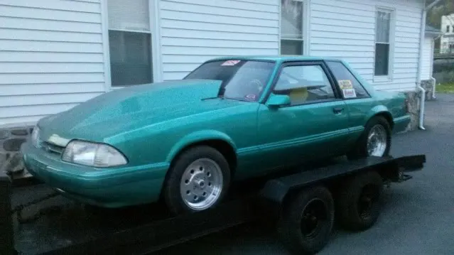 stang6.webp