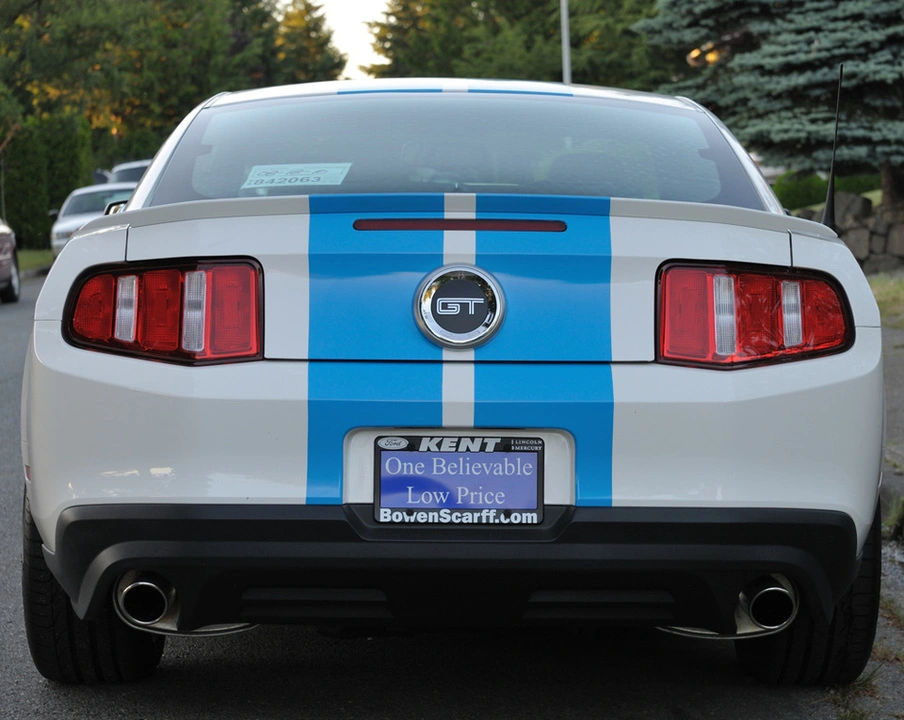 stang6.webp