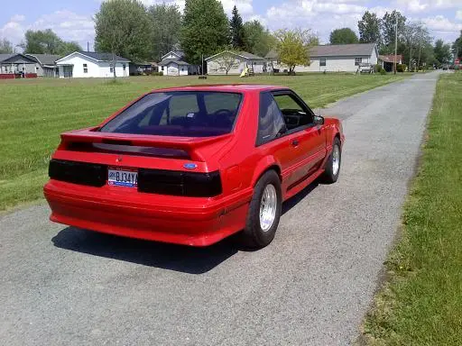 stang6.webp