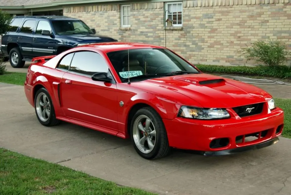 stang6.webp